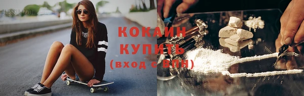 шишки Лиски