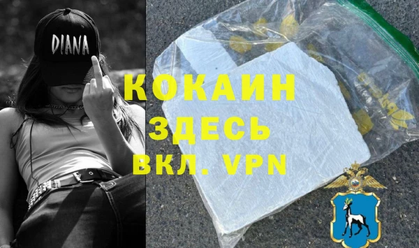 шишки Лиски