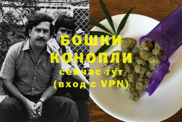 шишки Лиски